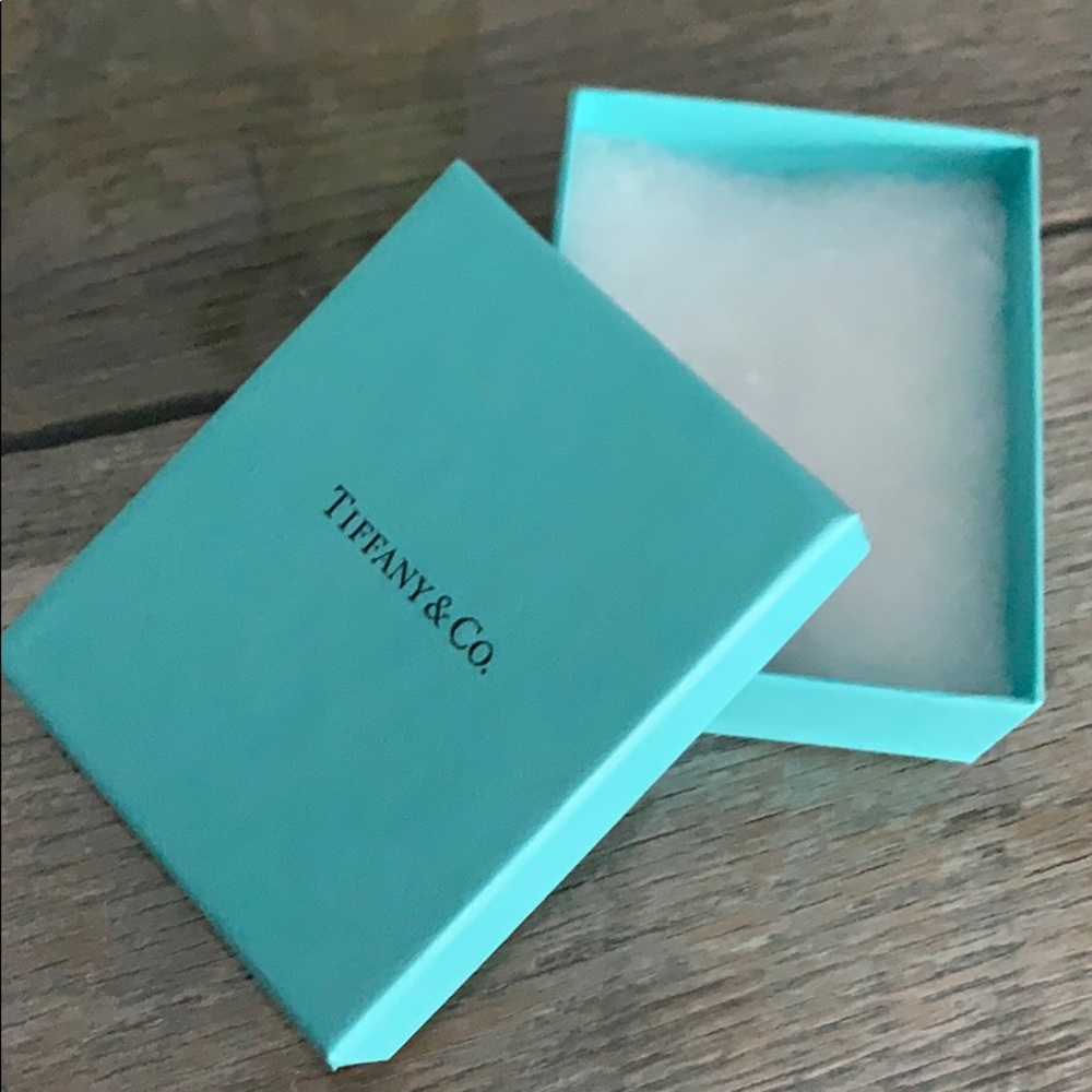 Tiffany pouch and box NO Ribbon